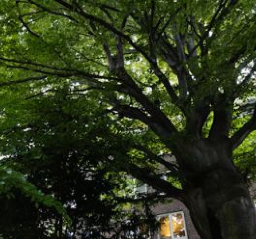 Studentenwohnheim Hermannstraße